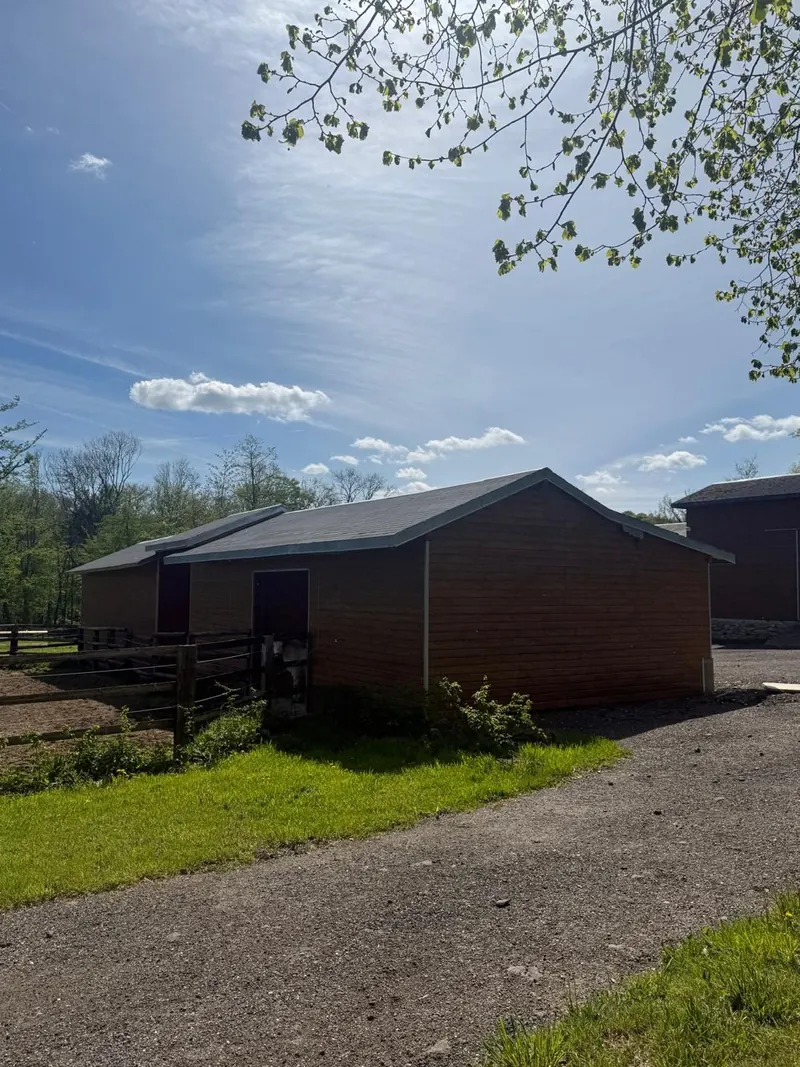 Construction d’écuries en bois – photo 5